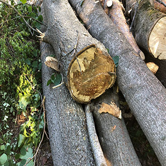 VIIKKOTIEDOTE TYÖMAALTA 2