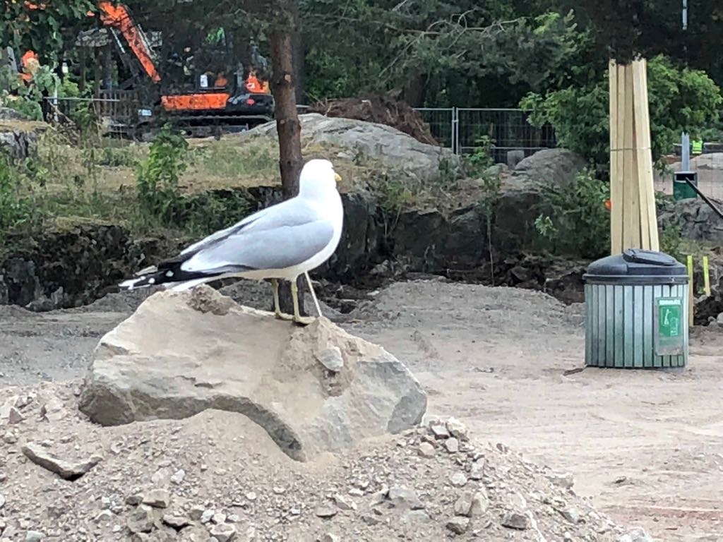 VIIKKOTIEDOTE TYÖMAALTA 4