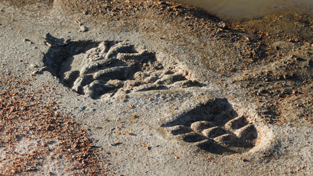 Footprint on sand
