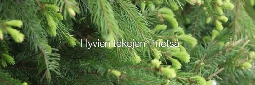 Hyvien tekojen metsä.jpg