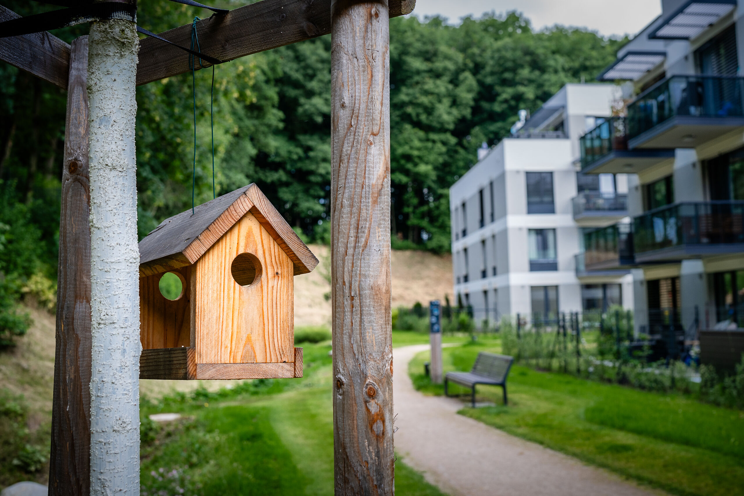 Luonnon monimuotoisuus